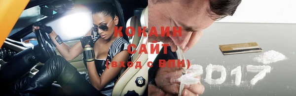 индика Абинск