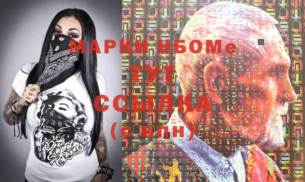 индика Абинск