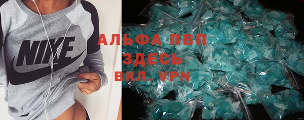 индика Абинск
