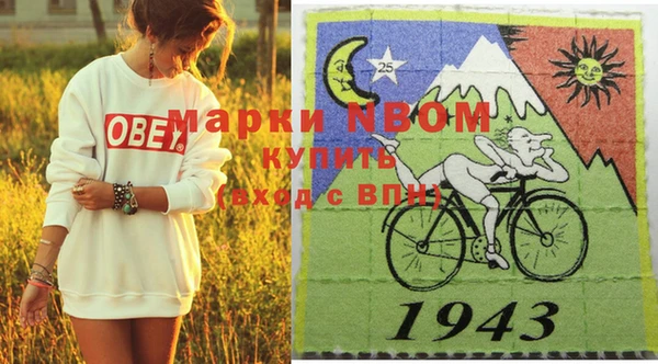индика Абинск